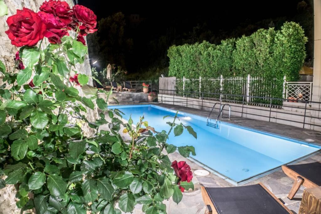 Villa Ventus, 40Sqm Private Pool & Hot Tub! Roussospítion Exteriör bild